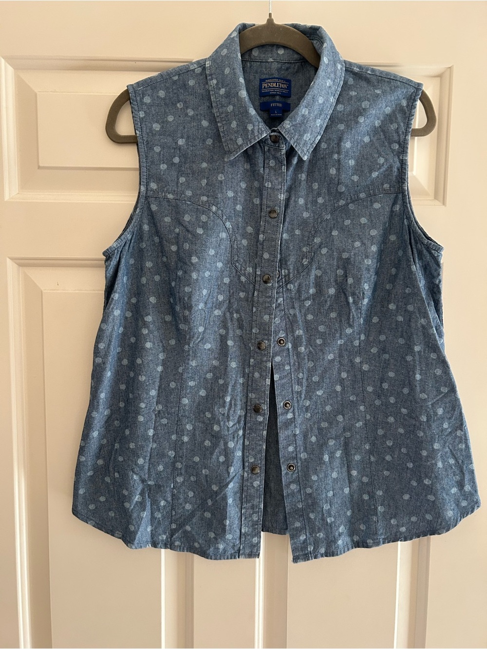 Pendleton Blue Polka Dot Sleeveless Button-Down Shirt